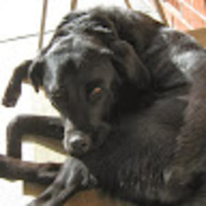 Meet your Posher, Alana